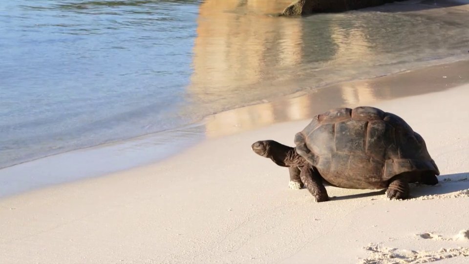 The Seychelles National Park