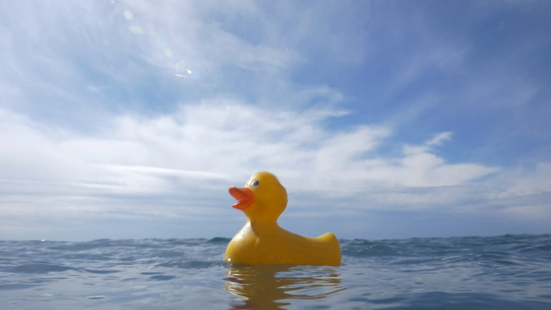 Océans, le mystère plastique