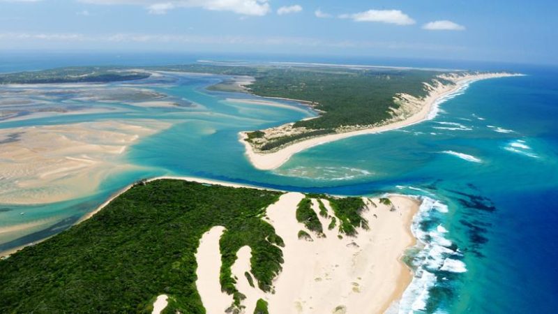 La savane avec vue sur mer de Mia Couto