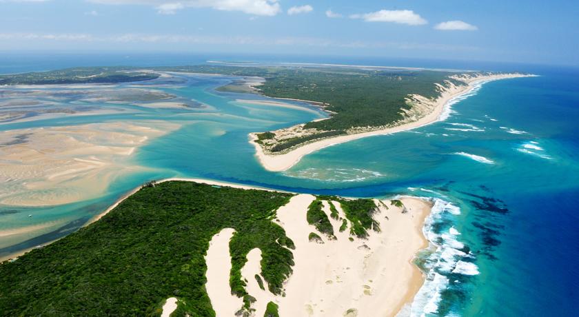 La savane avec vue sur mer de Mia Couto