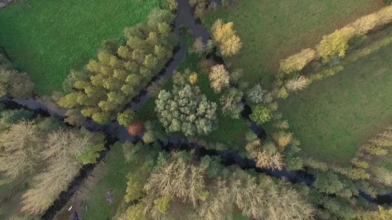 Marais Poitevin, une histoire d’eau et d’hommes