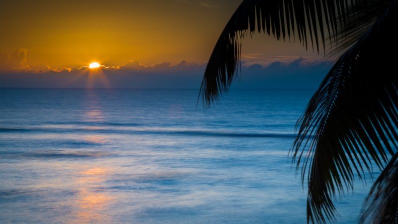 L’île de Praslin aux Seychelles