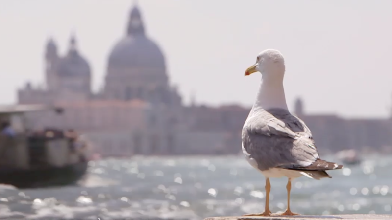 Venise va si bien à Corto Maltese